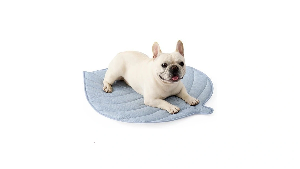 Cozy Kiss Dog Cooling Mat For Dogs Or Cats, Leaf