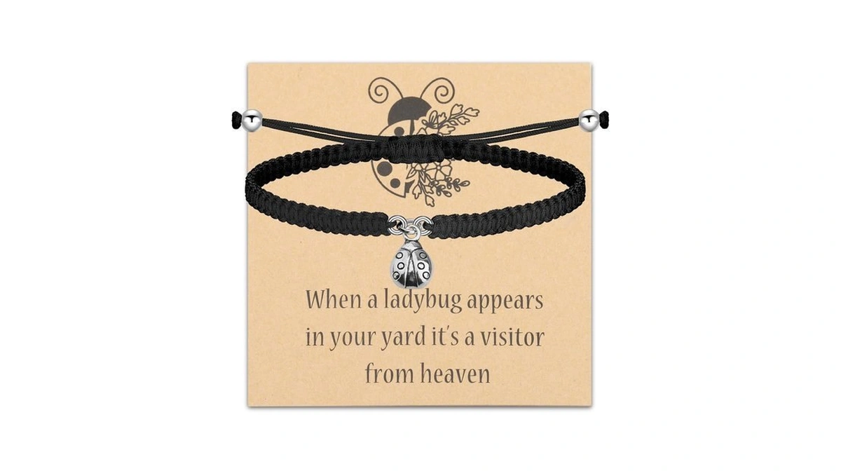 Faadbuk Ladybug Memorial Keychain When A Ladybug Appears In Memory