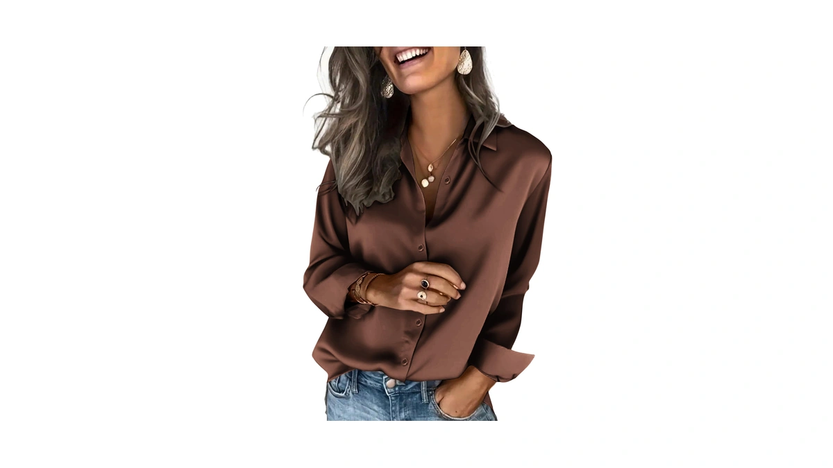 Zeagoo Silk Blouse Long Sleeve Satin Long Sleeve Business Casual