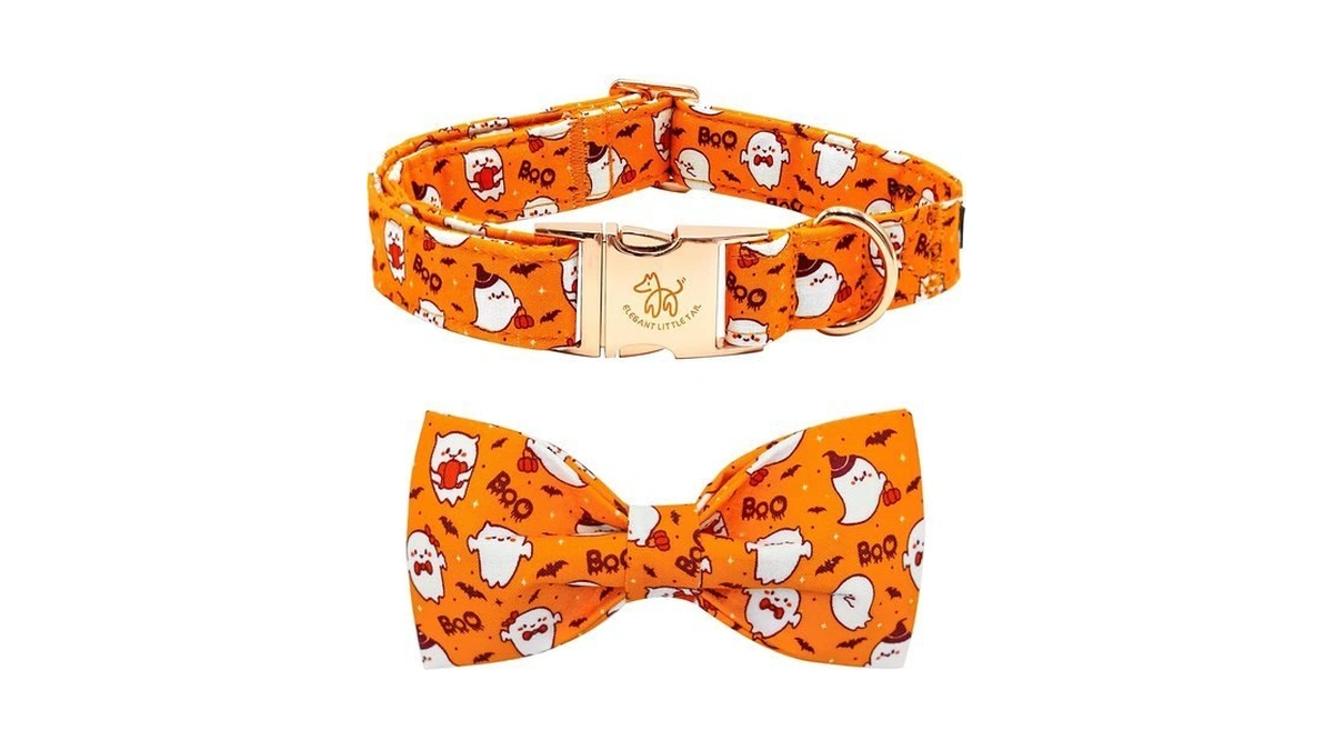 Elegant Little Tail Fall Dog Collar, Halloween Dog Collar Cute